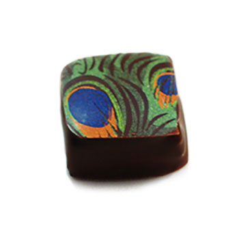 Hand dipped praline with a pressed peacock pattern on top