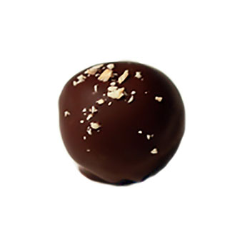 Round Hand dipped praline with a speckle of hazlenut shavings on top